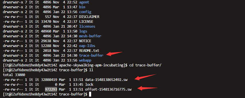 skywalking-trace-buffer